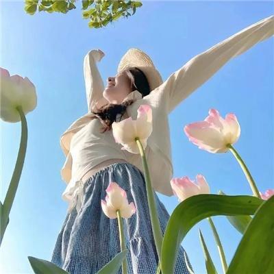 潘德拉贡：梅林崛起