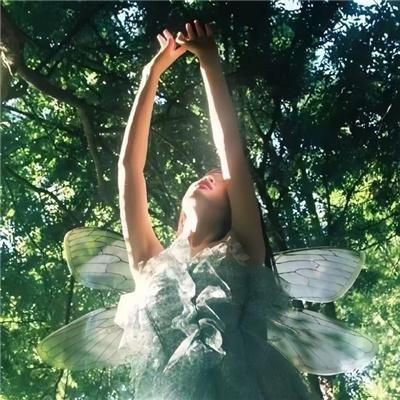 明星大侦探 第二季